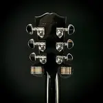 Gibson J-45 Standard - Пурпурный взрыв - фото 6