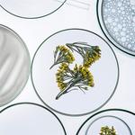 Лосьон Collistar Anti-Age Toning Lotion, 250 ml - фото 2