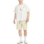 Nike Повседневные шорты SB мужские khaki - фото 3