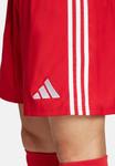 Спортивные шорты Adidas Performance TASTIGO 25, Rot/Red - фото 2
