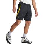 Повседневные шорты PSG мужские черные Jordan, черный - фото 3