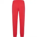 Спортивные брюки Hummel Pulse, красный - фото 2