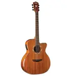 Акустико-электрогитара Washburn Confort Deluxe WCG55CE Grand Auditorium - фото