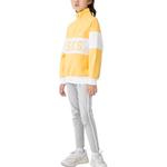 Толстовка GS Asics - фото 5