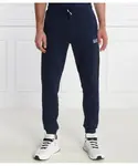 Спортивные штаны Regular fit Ea7, синий - фото