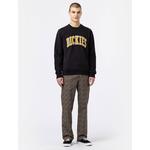 Толстовка Dickies Aitkin, черный - фото 3