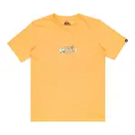 Детская футболка Quiksilver Evo Nature Magic, оранжевый - фото 6