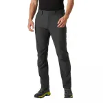 Брюки Helly Hansen Holmen 2.0, серый - фото