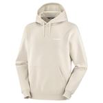 Кроп худи SALOMON, белый - фото