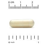 Super Nutrition, добавка для поддержки вен, 250 растительных капсул - фото 3