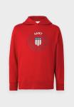 Толстовка GANT GRAPHIC HOODIE, Ruby Red/Red - фото 5