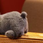 Плюшевая кукла щенка бульдога AOLETU - фото 7