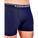 Мужские боксеры Anatomica Icebreaker, черный - фото 2