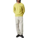 Helix Jumper Carhartt WIP, желтый - фото 5