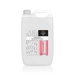 Керамиды Шампунь 5 л Chantal Prosalon Color Art - фото