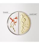 Кондиционер System Professional LipidCode LuxeBlond Hair Moisturiser, 200 ml - фото 5