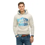 Худи Superdry Mountain Rainbow, бежевый - фото