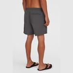 O'NEILL Плавки OВґNEILL Vert 16" для мужчин - фото 4