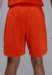 Спортивные шорты Jordan MESH SHORT, Team Orange/Orange - фото 3