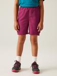 Шорты бермуды Regatta, фиолетовый - фото