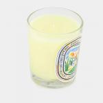 Ароматическая свеча Diptyque - фото 4