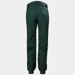 Горнолыжные брюки Helly Hansen BLIZZARD - фото 2