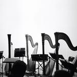 Виниловая пластинка Behavior: Spirits & Embellishments - фото