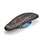 Шлепанцы Islander Gumbies, синий - фото 3