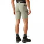 Шорты Regatta Xert Stretch III, зеленый - фото 2