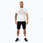 Футболка Pitbull San Diego Ins для мужчин. - фото 2