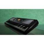 Korg EK-50 CSA Portable 61-Key Arranger Keyboard EK50CSA - фото 5