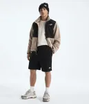 Мужские шорты Evolution Simple Dome The North Face, TNF Black - фото 2