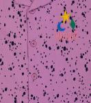 Рубашка из хлопка с принтом Jellymallow, фиолетовый - фото 2