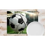 Цель placemat (набор из 12 шт.) Tischsetmacher, мультколор - фото 2