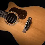 Акустическая гитара Cort Gold-A6 - фото 3