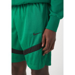 Team Nba Boston Celtics Icon+ 8In Short Nike, цвет clover/black - фото 5