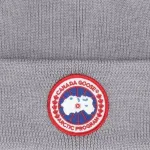 Arctic Disc риббит-бини Canada Goose, серый - фото 3