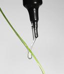 Сыворотка для волос MADARA Scalp Peel Serum, 50 ml - фото 6