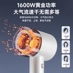 Фен ZC 02 с отрицательными ионами Ai Wo De, Blue - фото 2