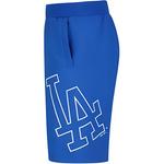 MLB Спортивные шорты Unisex Blue - фото 4