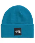 Мужская шапка Big Box The North Face, синий - фото