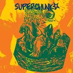 Виниловая пластинка LP Superchunk - Superchunk - фото