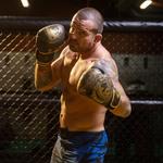 Перчатки боксерские спарринговые DBX Bushido "Золотой Дракон" - фото 4