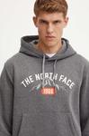 Толстовка The North Face Varsity с графическим рисунком, серый - фото 5