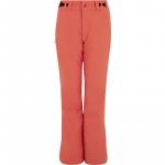 Зимние штаны Carmacks Protest, красный - фото