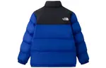 THE NORTH FACE Мужская куртка, цвет Blue - фото 2