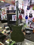 Электрогитара Danelectro Blackout '59 Green Envy - фото 2