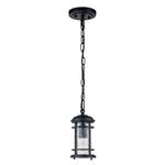 Наружная подвесная лампа Elstead Lighting, 12,1x32,5  см, черный - фото