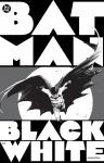 Batman: Black & White Compendium - фото