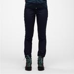 Зимние софтшелловые брюки Salewa Dolomia для женщин - фото 3